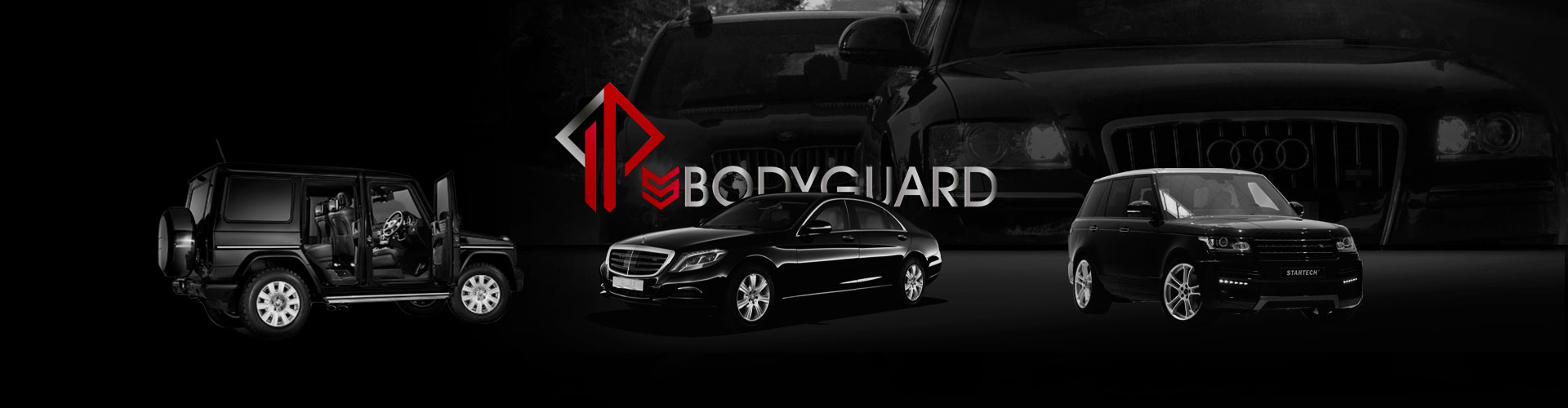 security driver ips bodyguard